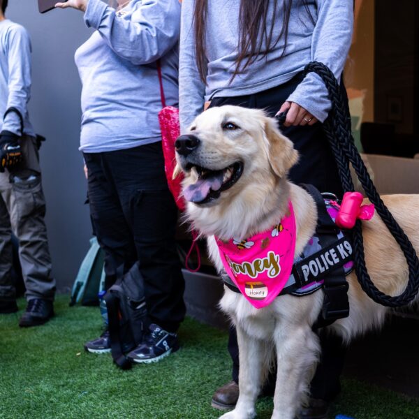 Nestlé Purina dona raciones de Pro Plan Performance a perros de alto rendimiento.