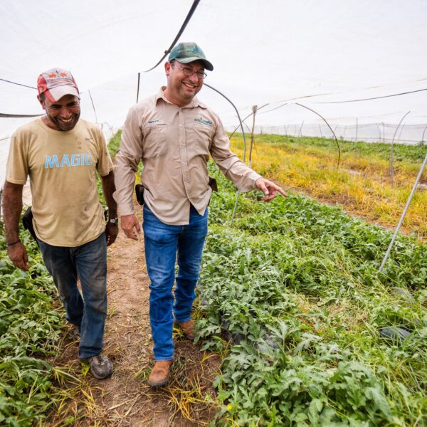 El corazón dulce de Zacapa: la empresa que revolucionó el mercado de la sandía y conquistó los supermercados