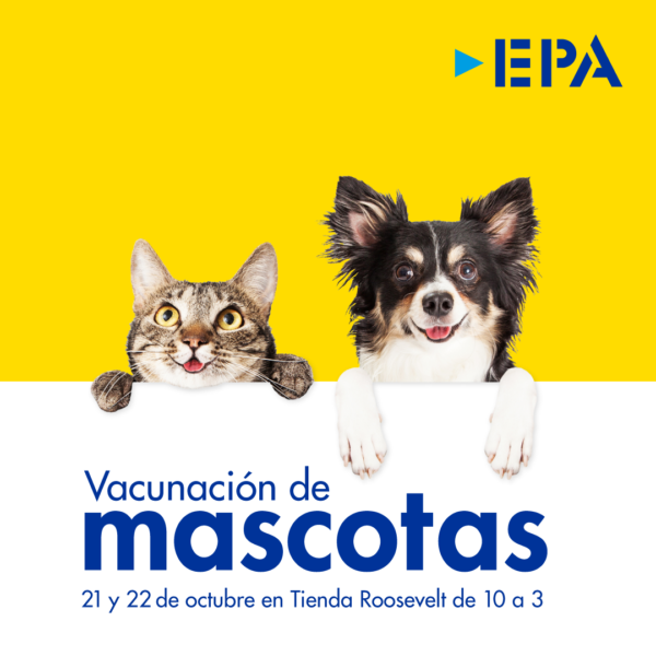 EPA realiza jornada de vacunación junto a Mascotas VIP 