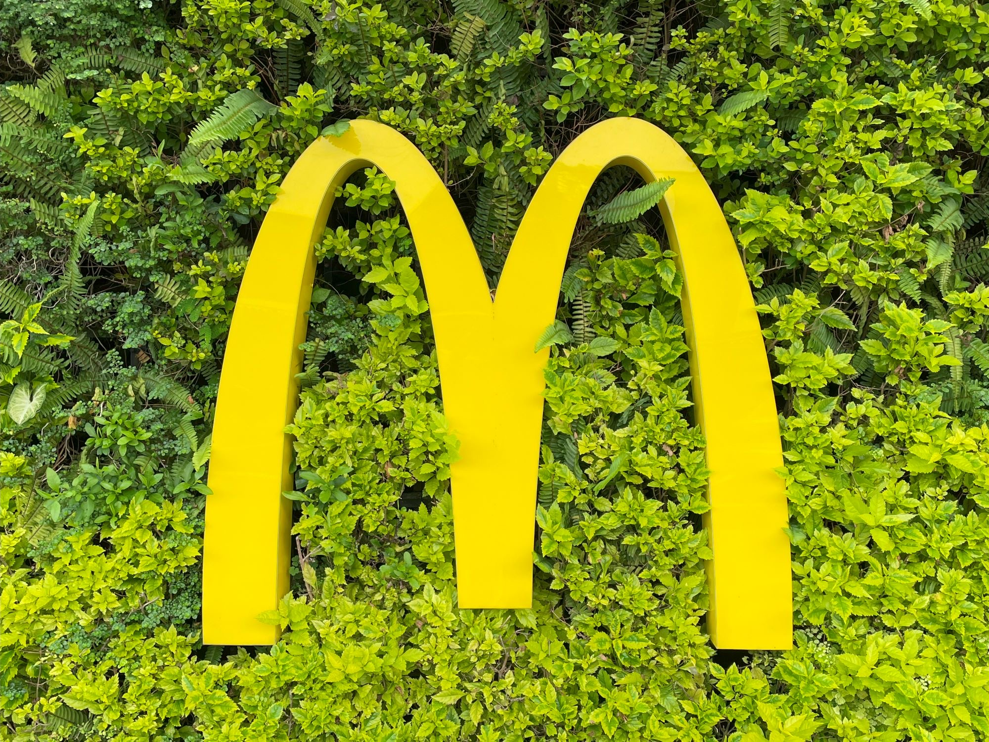 McDonald’s se une al Día Mundial del Ahorro de Energía, promoviendo la eficiencia y la sostenibilidad en sus operaciones 