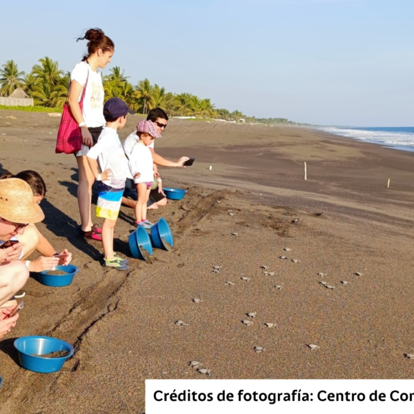 Bam celebra los primeros logros de la iniciativa «La Cuenta del Mar»