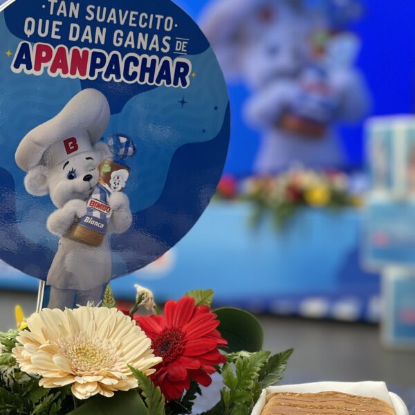 La suavidad de APANPACHAR con Bimbo