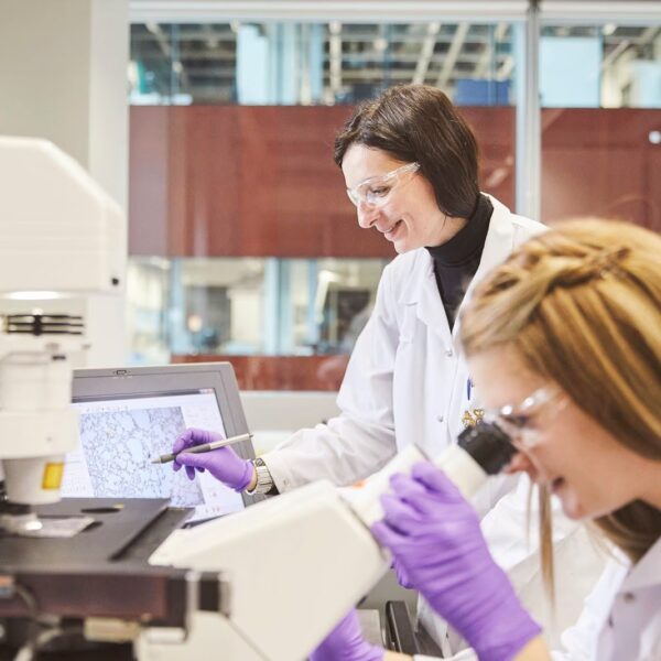 Philip Morris celebra el décimo aniversario de IQOS, la tecnología queestá construyendo un futuro libre de humo de cigarrillo