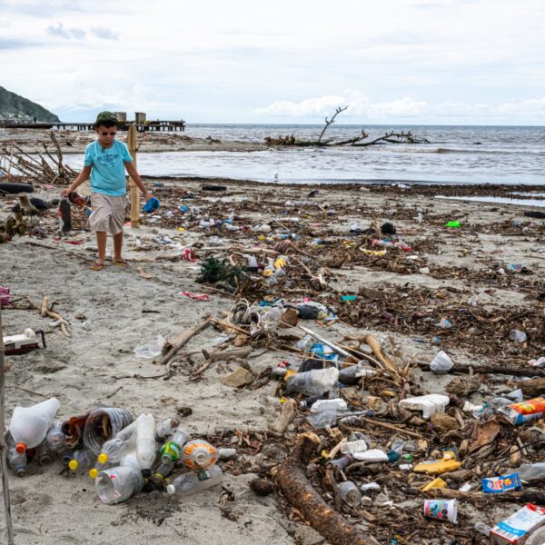 ¡Celebra la Navidad y reduce el uso de plástico desechable!