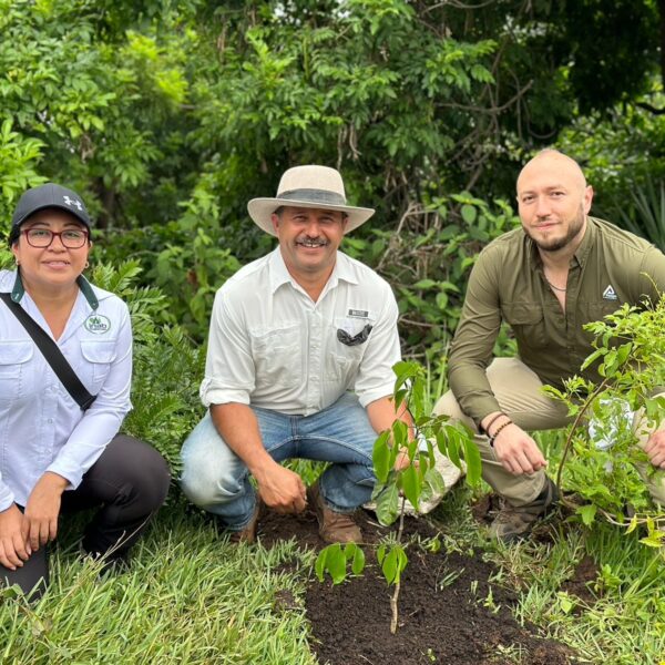 Foragro reafirma su compromiso con la sostenibilidad en el Día Internacional del Suelo