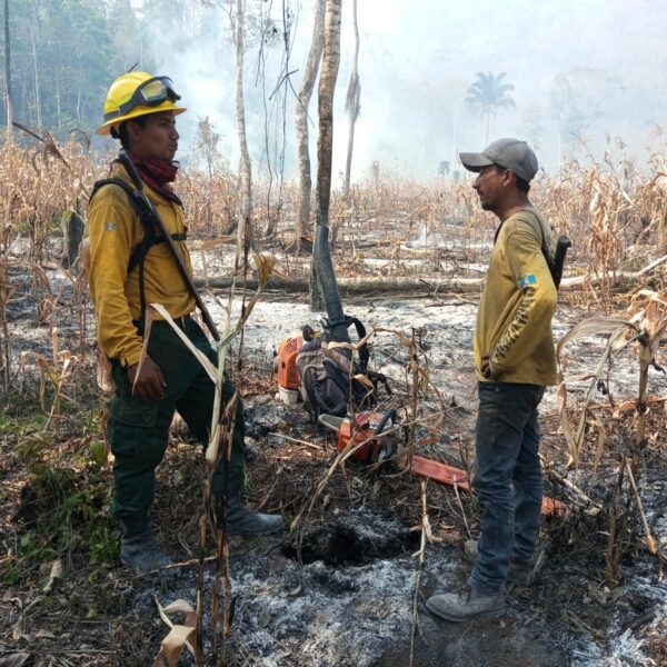 Un llamado a la acción para evitar incendios en nuestros bosques