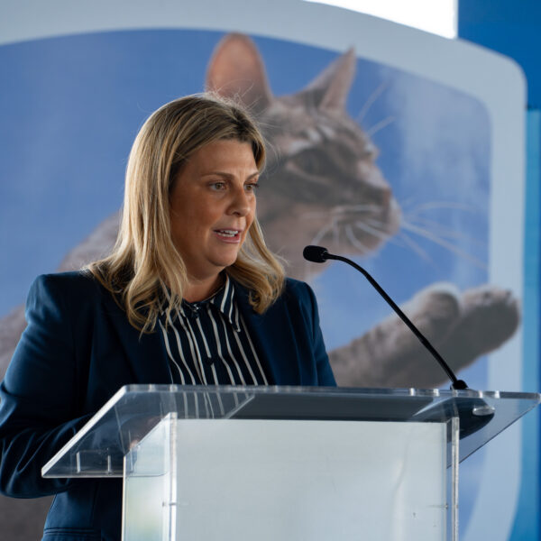 Nestlé Purina refuerza su compromiso con la salud felina através de una alianza para promover la esterilización