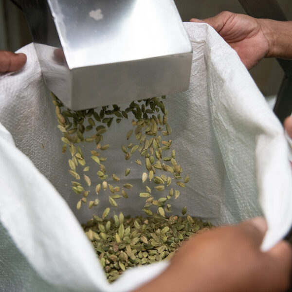 Cardex lleva el sabor de Guatemala a más de 50 países con especias premium