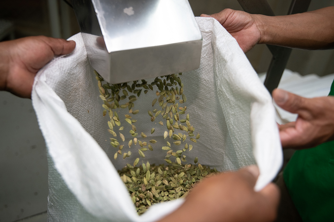 Cardex lleva el sabor de Guatemala a más de 50 países con especias premium