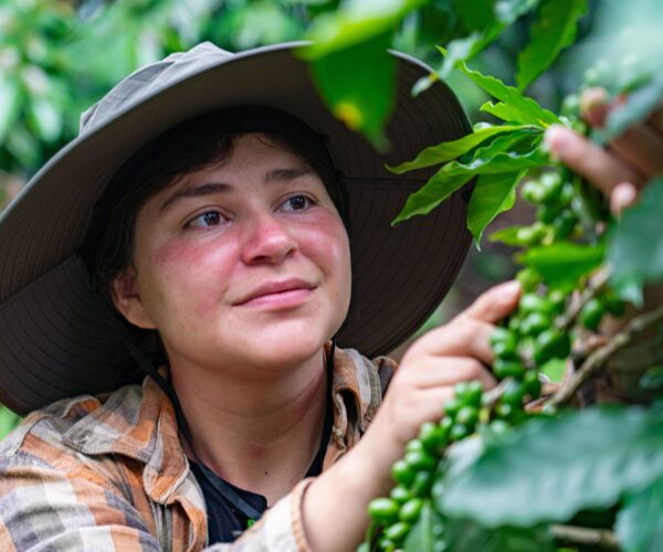 Nestlé continúa impulsando la capacitación de jóvenes caficultores en la región