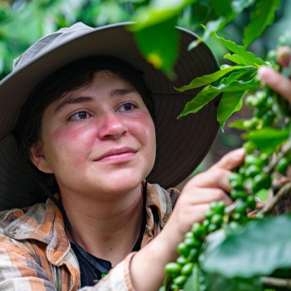 Nestlé continúa impulsando la capacitación de jóvenes caficultores en la región