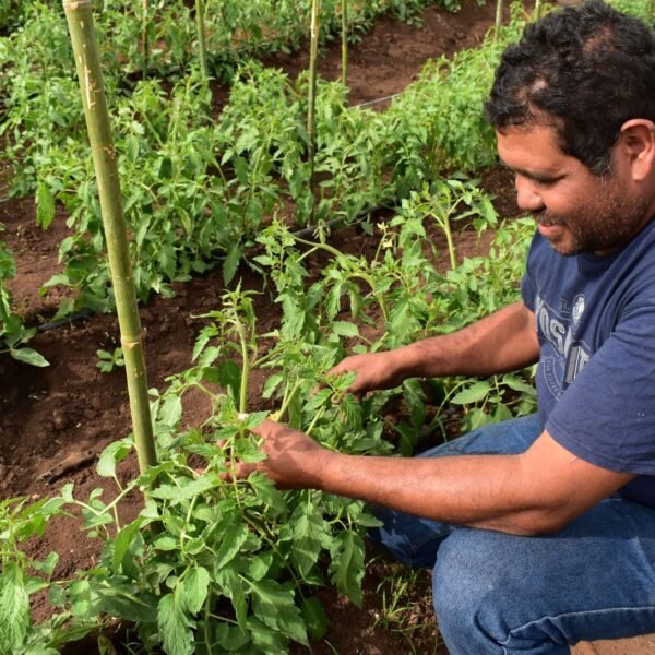 Foragro destaca el valor de la agricultura