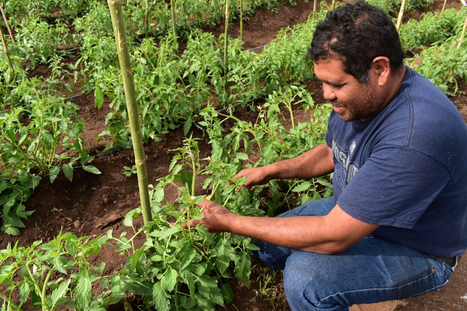 Foragro destaca el valor de la agricultura